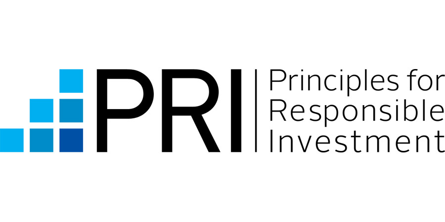 36 Principles for Responsible Investment RPI