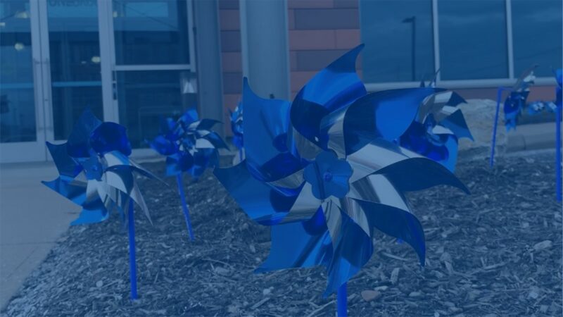 Pinwheels Blue Overlay