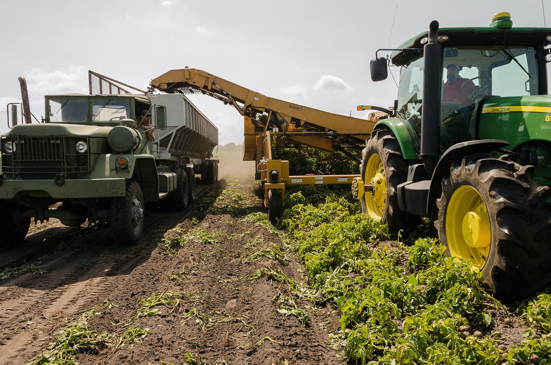 Tractor Harvesting Crops In Field