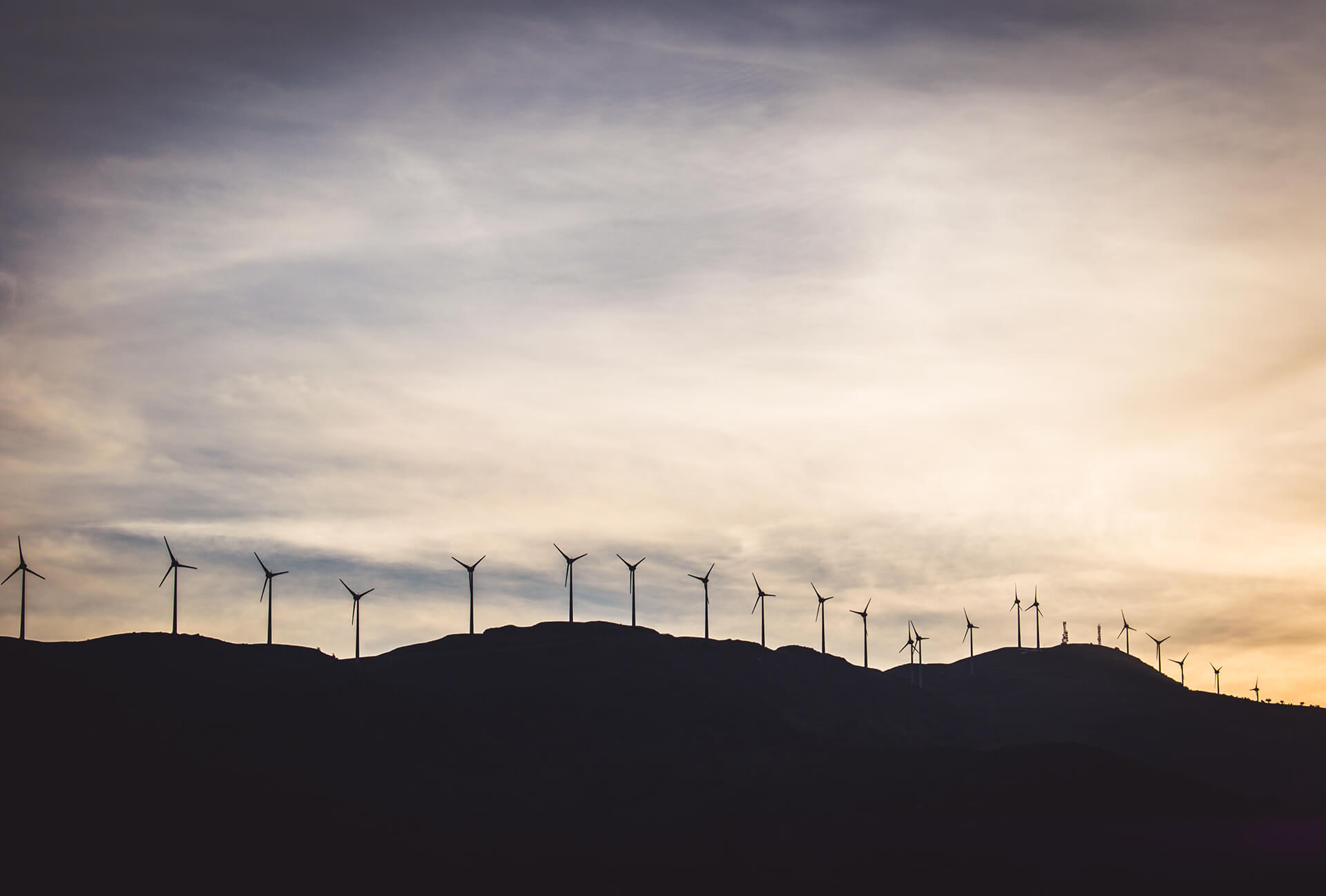 Windmills At Sunset