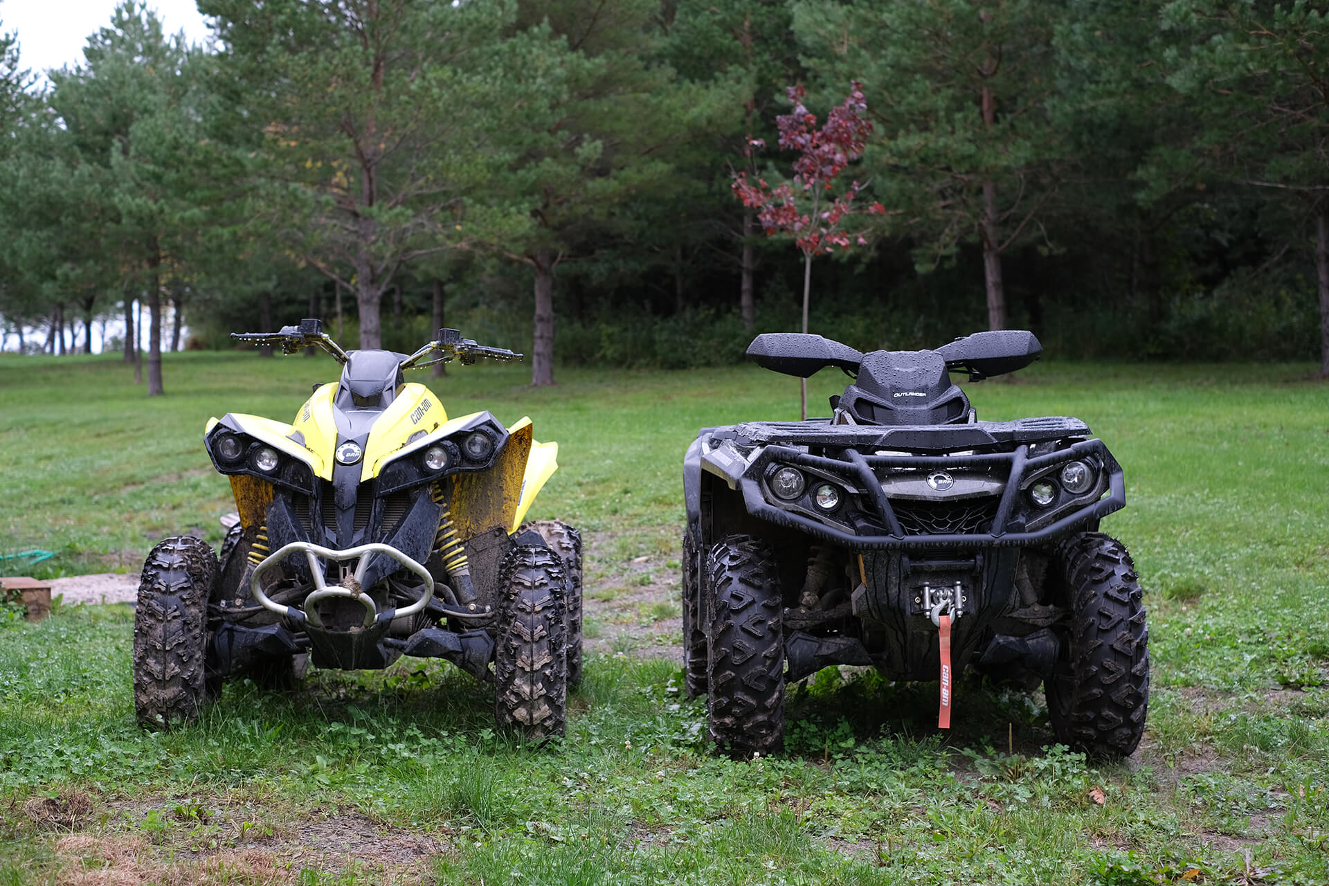 Yellow And Black Four Wheeler Recreational Vehicles